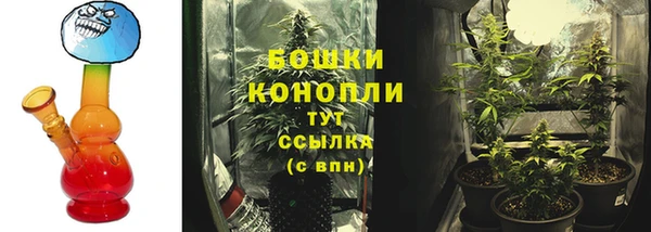 гидра Сафоново
