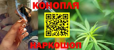 прущие грибы Можга