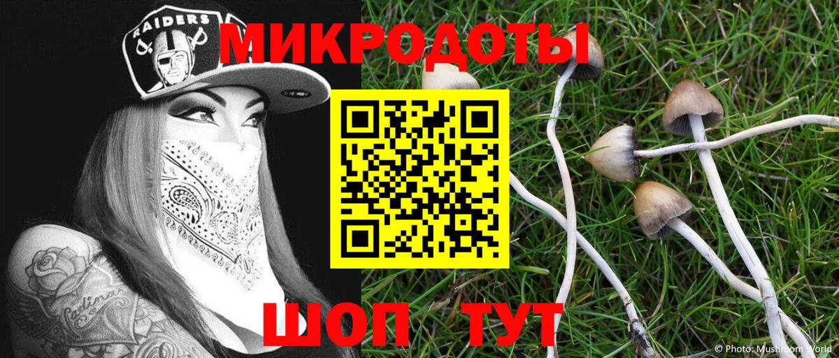 Галлюциногенные грибы Psilocybine cubensis Белая Калитва