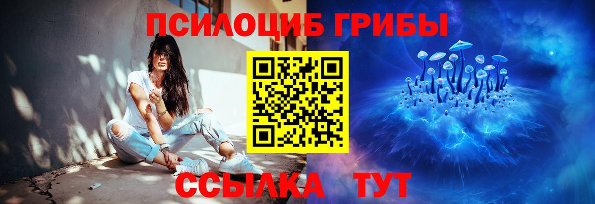 Белая Калитва  Псилоцибиновые грибы мицелий  Вход с VPN 